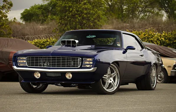 Camaro, chevrolet, cars, musclecar