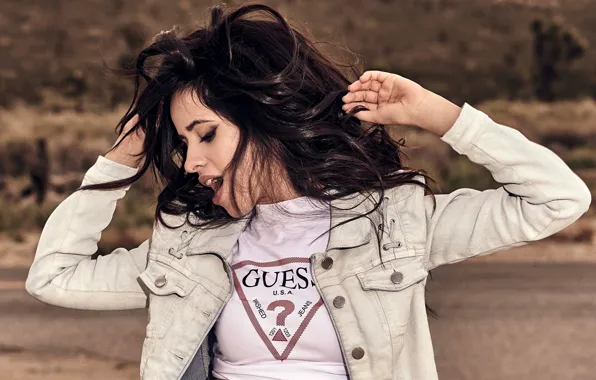 Картинка поза, Camila Cabello, девушка, волосы