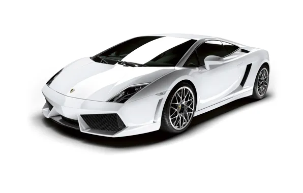 Lamborghini, белый фон, Gallardo, ламборгини, галлардо