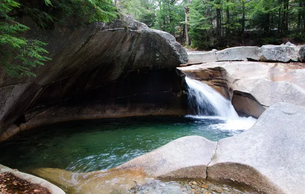 Картинка лес, вода, природа, камни, поток, forest, Nature, water