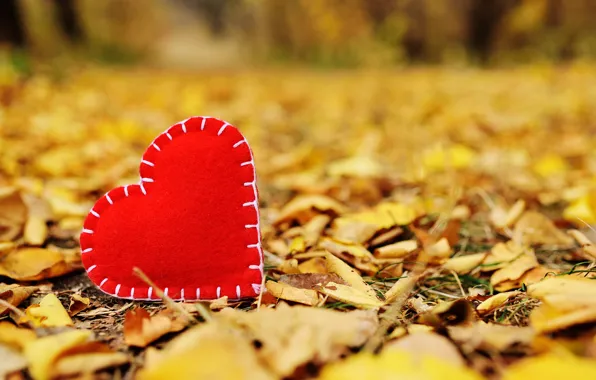 Картинка осень, листья, любовь, парк, сердце, желтые, love, heart