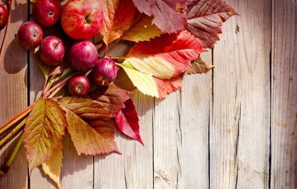 Картинка осень, листья, яблоки