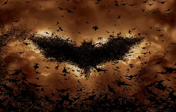 Картинка logo, Batman, Begins, bats, батман