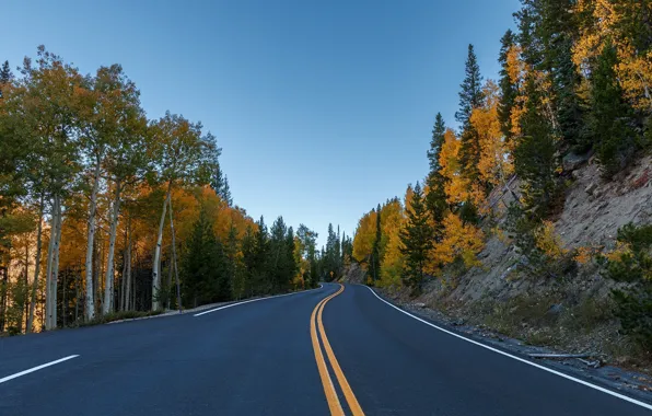 Картинка дорога, осень, лес