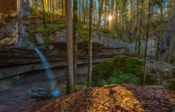 Картинка осень, лес, солнце, свет, деревья, ветки, парк, камни