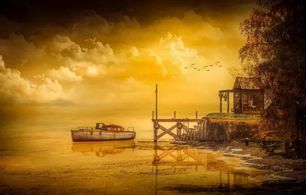 Небо, пейзаж, закат, птицы, природа, отражение, рендеринг, дерево