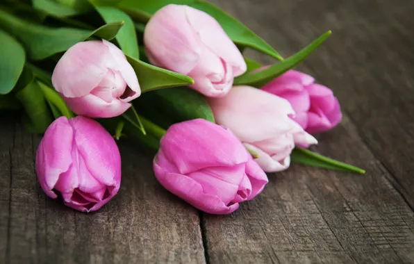 Картинка букет, тюльпаны, wood, pink, tulip