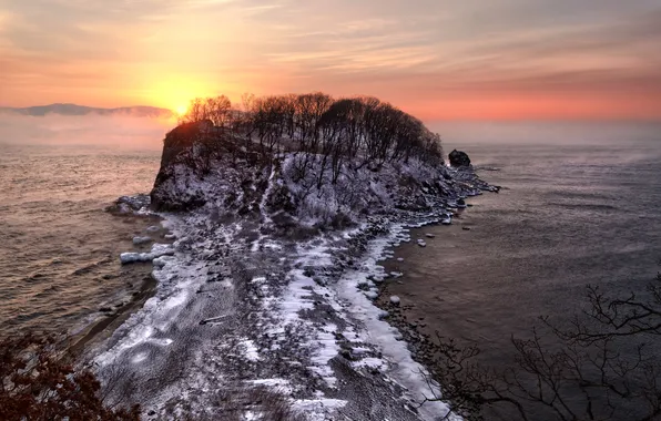 Hielo, nibla, arboles, atardecer