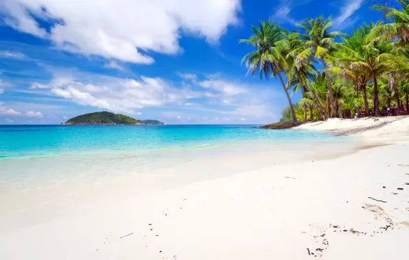 Картинка песок, море, пляж, небо, острова, облака, тропики, пальмы