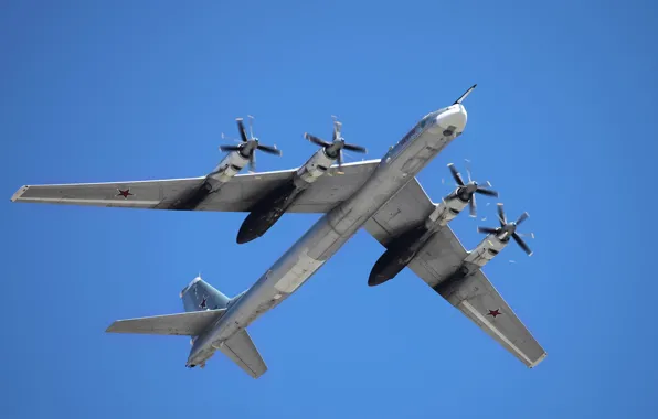 Картинка медведь, бомбардировщик, россия, ввс, Ту-95МС, дальняя авиация