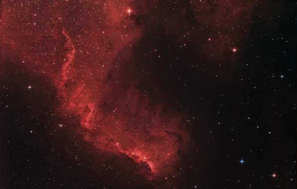 Лебедь, в созвездии, NGC 7000, Туманность Северная Америка