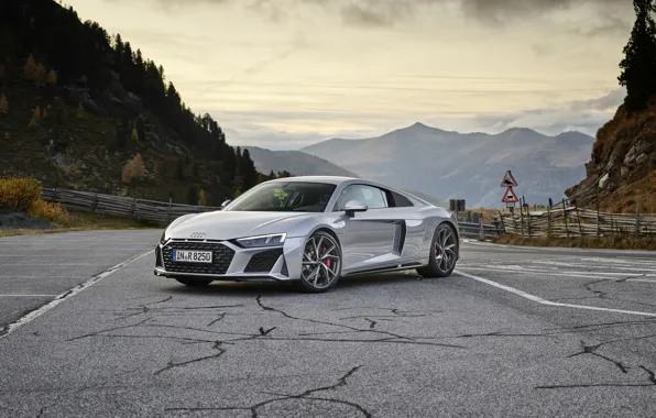 Audi, суперкар, Audi R8, Coupe, V10, 2020, RWD