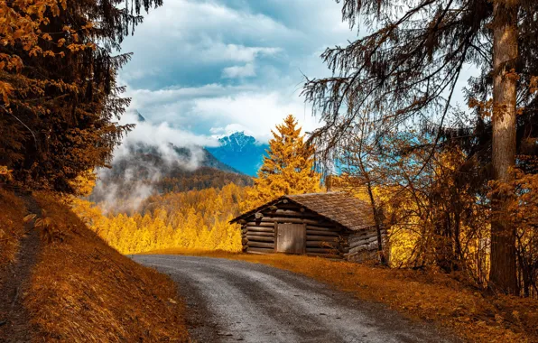 Картинка дорога, осень, горы