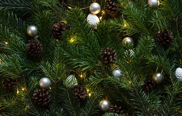 Картинка green, christmas tree, christmas lights