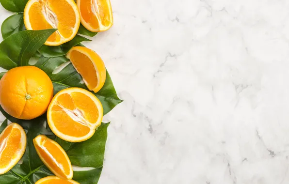 Листья, белый фон, orange, цитрусовые, фпельсины