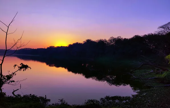 Sun, Water, Sunrise, Dawn, Morning, Lake, Trees, Reflection