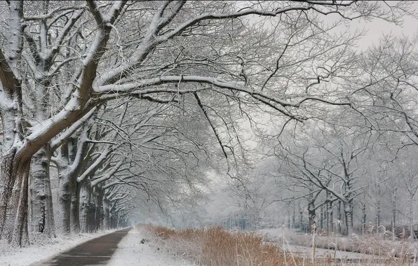 Картинка зима, дорога, снег