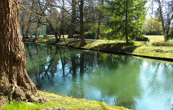 Water, park, lake, pond
