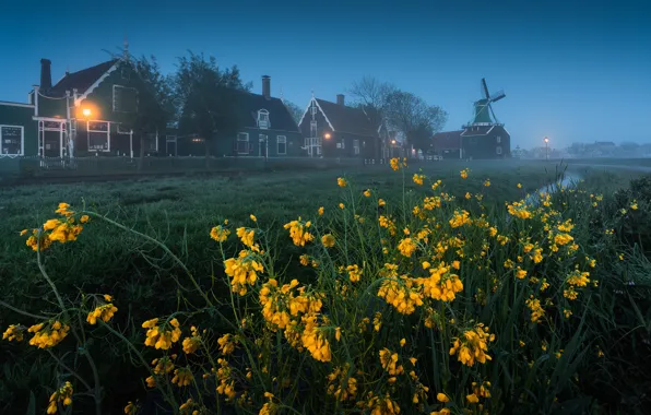 Цветы, дома, мельница, Zaanse Schans, A Dutch Fairytale