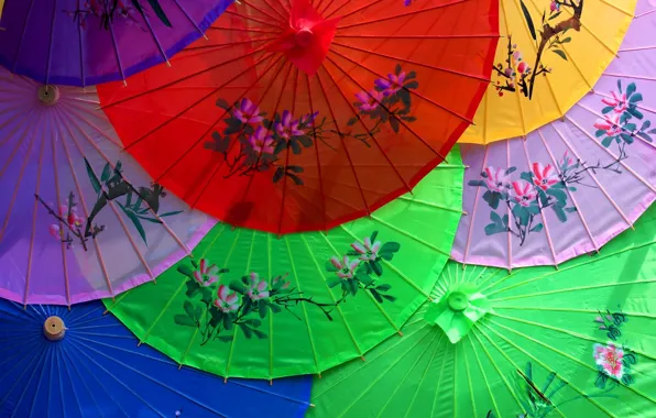 Цветы, зонтик, узор, китай, азия, япония, зонт