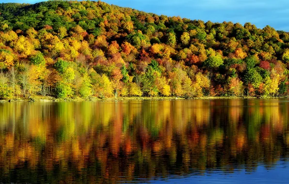 Осень, вода, деревья, отражение, красота, время года, пейзаж. природа