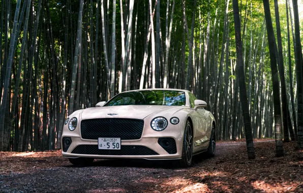 Картинка Bentley Continental, GT V8 Front