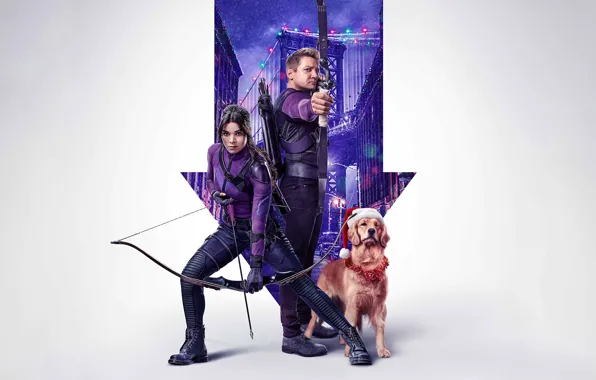 Собака, Marvel, Hawkeye, Соколиный глаз, Марвел, Hailee Steinfeld, Jeremy Lee Renner, Клинте Бартон