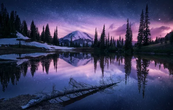 Картинка лес, небо, звезды, горы, ночь, озеро, гора