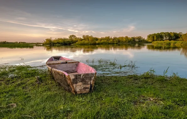 Картинка лес, озеро, лодка, Польша, Бебжанский Национальный Парк