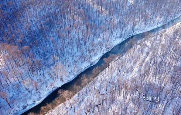 Зима, лес, снег, река, США, Virginia