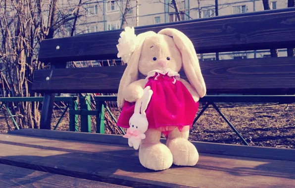 Картинка скамейка, заяц, весна