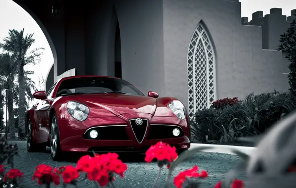 Alfa romeo, flowers, competizione