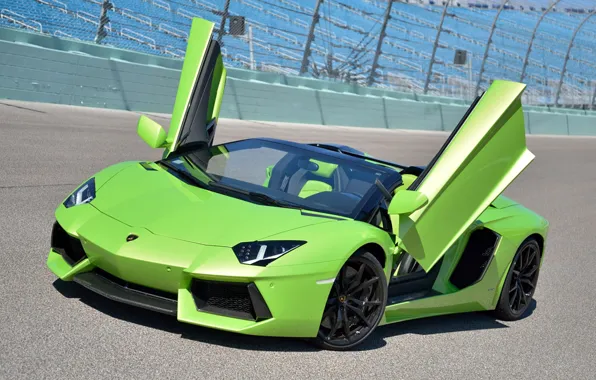 Green, Roadster, Lamborghini, track, LP700-4, Aventador, door