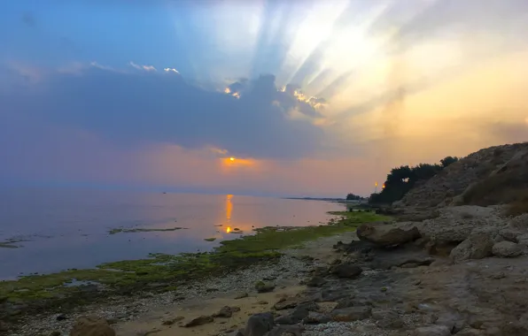 Clouds, IRAN, Sun, Sunrise, Sea, Landsape, Bushehr, mansour
