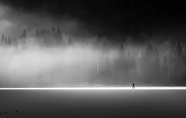 Картинка поле, туман, человек