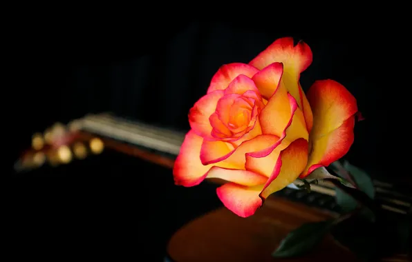 Картинка фон, роза, гитара