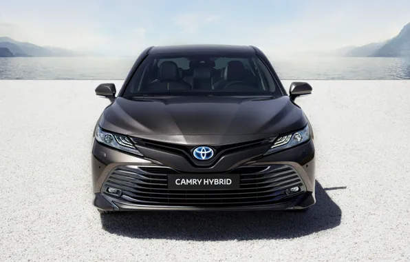 Toyota, седан, вид спереди, Hybrid, Camry, 2019