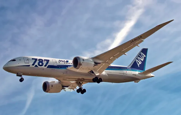 Картинка небо, авиация, самолёт, Boeing 787