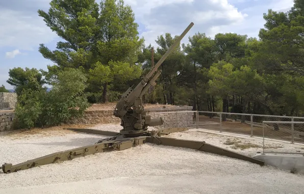 Gun, weapon, toulon