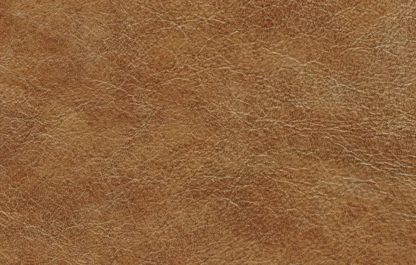 Кожа, texture, leather, skin