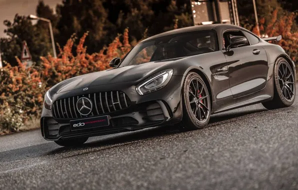 Дорога, кустарник, Edo Competition, Mercedes-AMG GT R