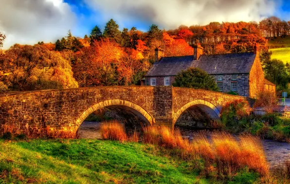 Картинка осень, небо, трава, деревья, мост, дом, река, склон