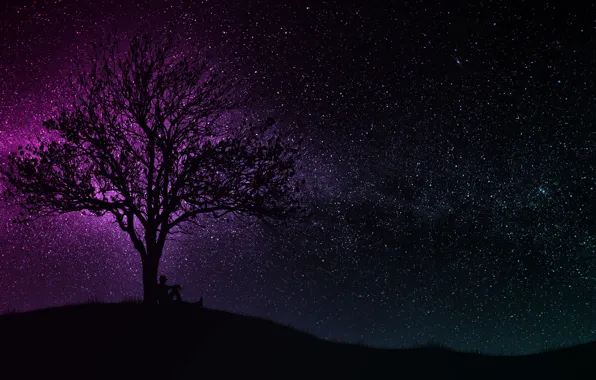 Картинка dark, wallpaper, black, art, tree, man, hill, purple