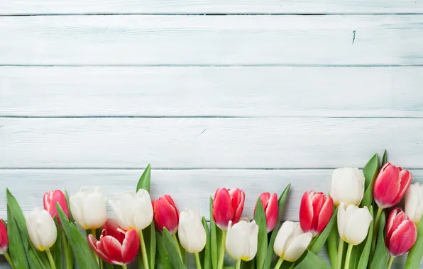 Картинка цветы, тюльпаны, red, white, wood, flowers, tulips, spring