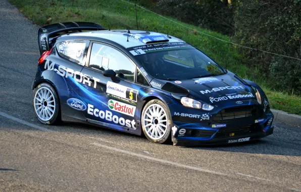Ford, Форд, WRC, Rally, Ралли, Fiesta, Фиеста