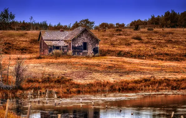 Картинка осень, озеро, дом