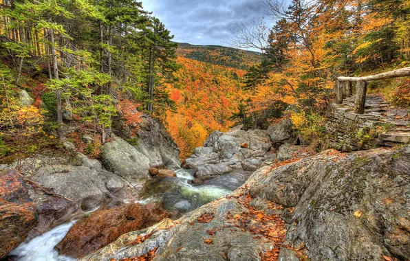 Картинка осень, лес, пейзаж, природа, камни, фото, HDR, США
