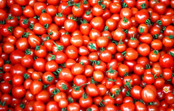Картинка красный, овощи, помидоры, томаты
