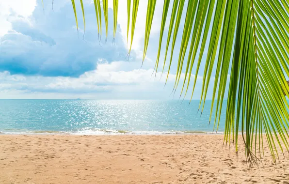 Песок, море, пляж, лето, небо, пальмы, summer, beach