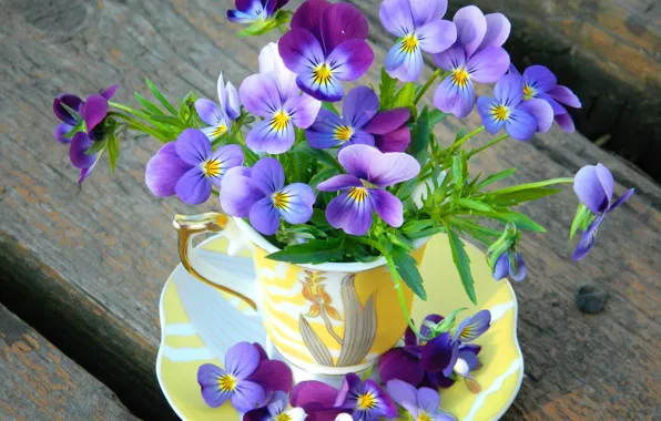 Цветы, лепестки, чашка, анютины глазки, flowers, cup, violet